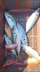 생활낚시!!!