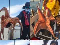 [진해] 문어,키로,키로,중치들,110수,우루루,,(예약가능)