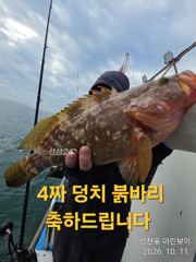 삼천포 마린보이 10. 11. 일요일 덩치 붉바리 외수질 풍성하게 다녀왔습니다.