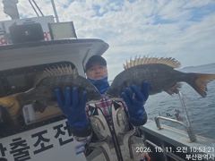 [부산] (대림)~48,45.40~!!덩치급~감성돔~찌낚 조황 입니다..…