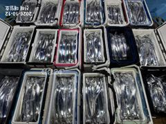 [진해] [11~12일/준내만갈치]오늘도느나느나 최고5지까지~!!! 퍼담…