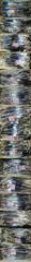 내만갈치 대환장도가니탕!! 씨알,마릿수 후덜덜~!!(예약가능)