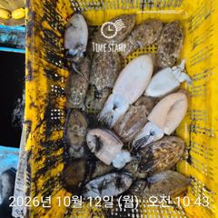 갑오징어 낚시만