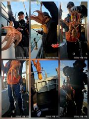 칠성호 돌문어 씨알 마릿수 제법 올라옵니다 ~