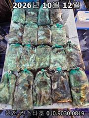 26년 10월 12일!! 인천 썬스타호 조황사진입니다~^.^