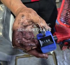 팁런무늬!!!달리세요!!!내일 정상출항 예약가능