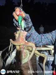 수욜 원도권 야문 10자리여유
