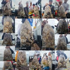[사천] 쭈꾸미 피딩! 평일 오전11시~주말 오전6시 30분 출항