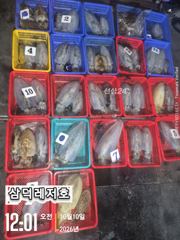 [팁런]대물,시즌,k,k,무시급(목요일,출항확정)
