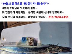 [14일입항] "내만갈치" 3지이상까지!! 빵빵한 손맛보며 쿨러 묵직하게 담았네요!! [오늘예약가능] 010-7660-2435