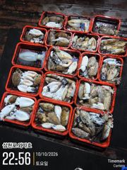[사천] 오늘 야간갑오징어 예약중입니다