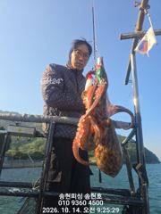 [통영] 통영 송현호))돌문어 실시간 덩치급들 연타로 뽑아올립니다