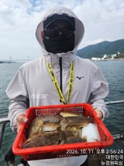 내일 갑오징어 8분예약중 출조확정 12자리여유 있습니다