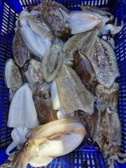 2026년 10월 14일 어바웃피싱 챔피언십 낚시대회