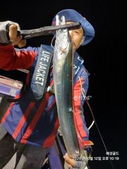 [진해] 먼바다왕갈치외줄 오늘오후2시30분자리추첨후출항 예약가능