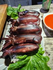 (무늬오징어)20수는 거뜬 선상 회파티 시즌절정 대동낚시(오늘 예약)
