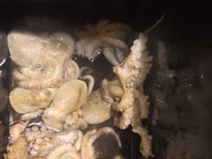 돌문어K급중치급퍽~퍽장원25수외마릿수굿~굿
