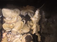 [진해] 야간돌문어k급중치급25수외마릿수굿~굿오늘고~