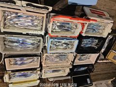 [진해] 고기는 많고 씨알은 깡패급! 내만갈치 대박