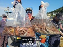 통영 형만호 선상 문어 키로급에 마리수.내일.주말 여유