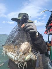 10월 15일 갑오징어 출조