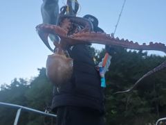 야간돌문어k급외장원24수마릿수굿~살림망묵~직