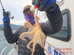 [사천] 오늘도 왕대구빡 쭈꾸미 찾아 열심히 달렸습니다.월요일부터 쭈우욱…