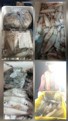 [통영 최강리드호] 초초초대박! 4지·5지 줄타기에 전원만쿨/1인 두쿨씩!굿