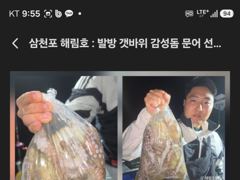 [사천] (((해림3호)))16일 씨알 마리수 조항입니다