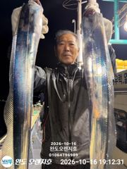 완도오렌지호//3지4지전원만쿨입니다