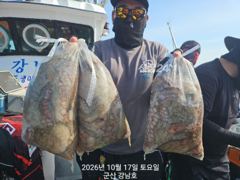 10/17 토요일 군산최강피싱 <#강남호> 문어낚시 연이은 굿…