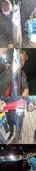 씨알좋은내만갈치꾸준한입질쿨러만~당