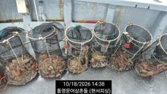 [통영] (문어)뜰채 사이즈 속출 두 자릿수는 기본~현서피싱(19일예약)