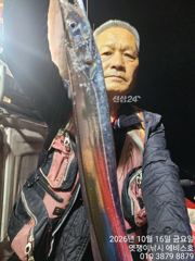 준내만갈치~씨알미쳤고 마릿수도 완전 미쳤다~월요일부터 예약가능합니다