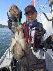 [격포 힐링호] 10/17 갑오징어 조황