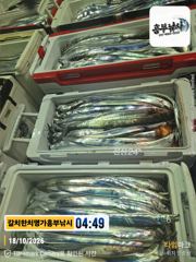 18일 입항 2호 김선장 초대박 조황
