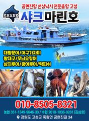 22인승 샤크마린 내일 무늬오징어 출조가실분들 연락주세요 010 8505 8321