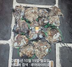 루어파이터호-10/19 월 [무시] 쭈꾸미/갑오징어 조항 입니다.