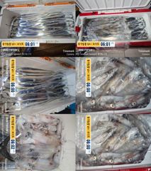 14석 통영보성3호