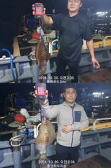 1시간전 [통영] 오늘 자리있어요 10월20일 철수 통영갈치 신세계호 조황정보