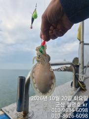 20일 쭈갑 오전반 실시간