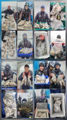 10월20일 오천항 팀오디세이호 쭈,갑오징어 조황입니다!