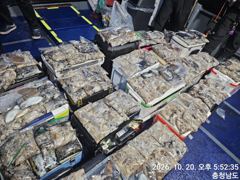 10월20일 쭈꾸미낚시^^