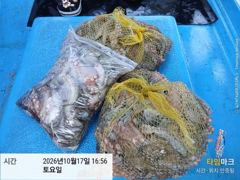 삼천포 문어낚시 이번주 토요일 4자리 예약 가능