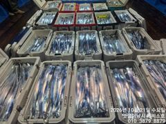 준내만갈치~3.4.5지까지 전원 쿨러 가득가득 채우고 오네요