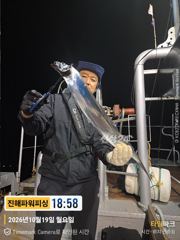 [진해] [갈치/텐빈]대갈치사냥 금요일부터~달립니다[금.일]예약가능