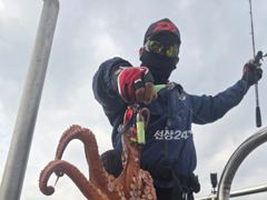 [진해] 진해문어낚시] 굵직굵직 손맛 끝내주는 돌문어 찐한 손맛보러 계속…