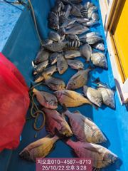 감성돔 찌낚시 조항입니다