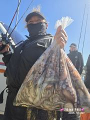 10/22 고흥녹동흑룡호 문어조황