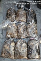 10월22일쭈꾸미조황 바람쐬려오신두분 쿨러따로먹3종으로만족하시네요~ 감사합니다
